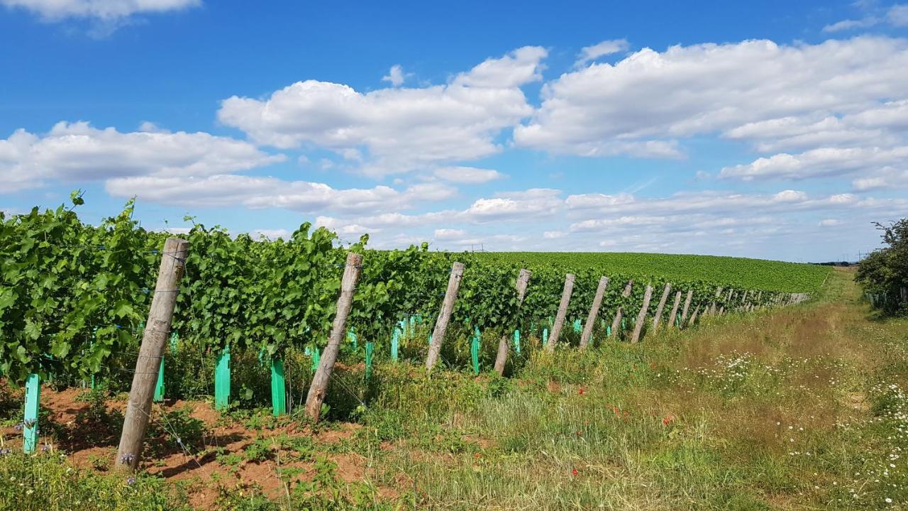 Apartmány Vinařství Klučov Lstibor Exterior foto
